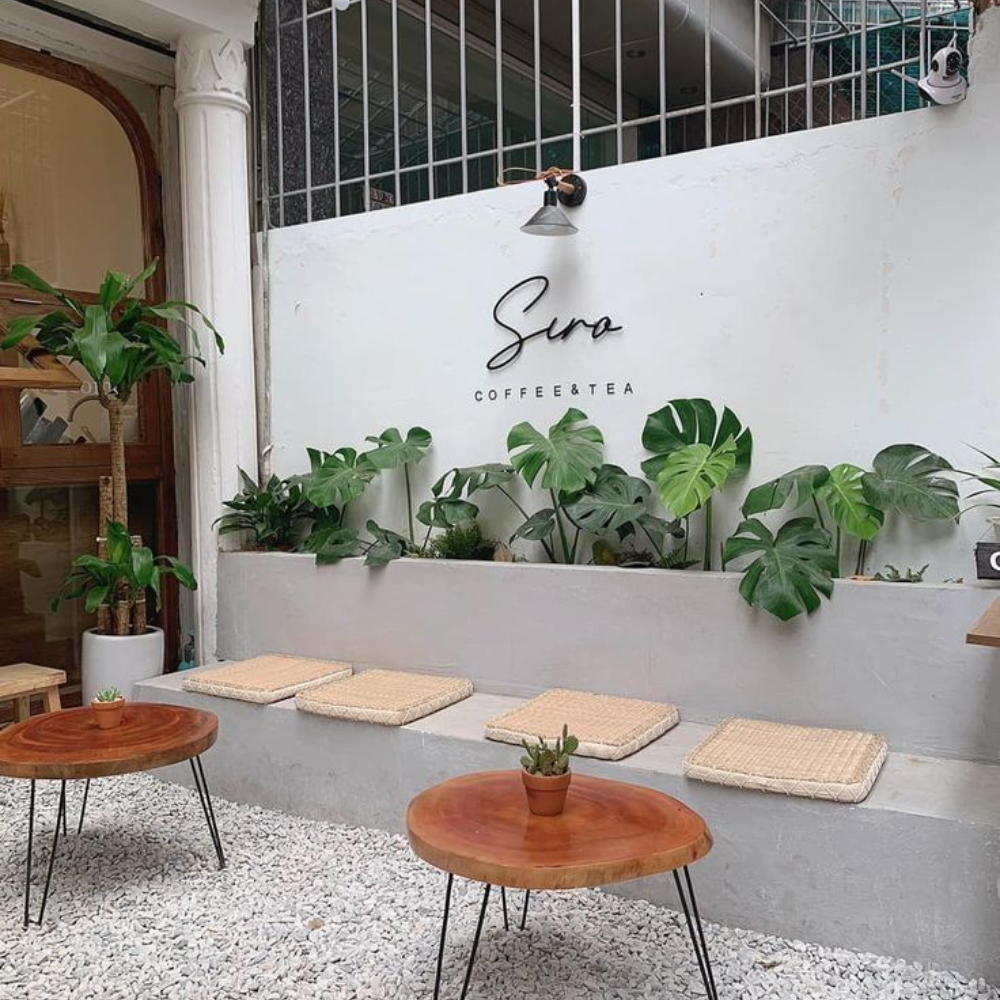 Bố trí cây xanh trong phong cách thiết kế quán cafe tối giản