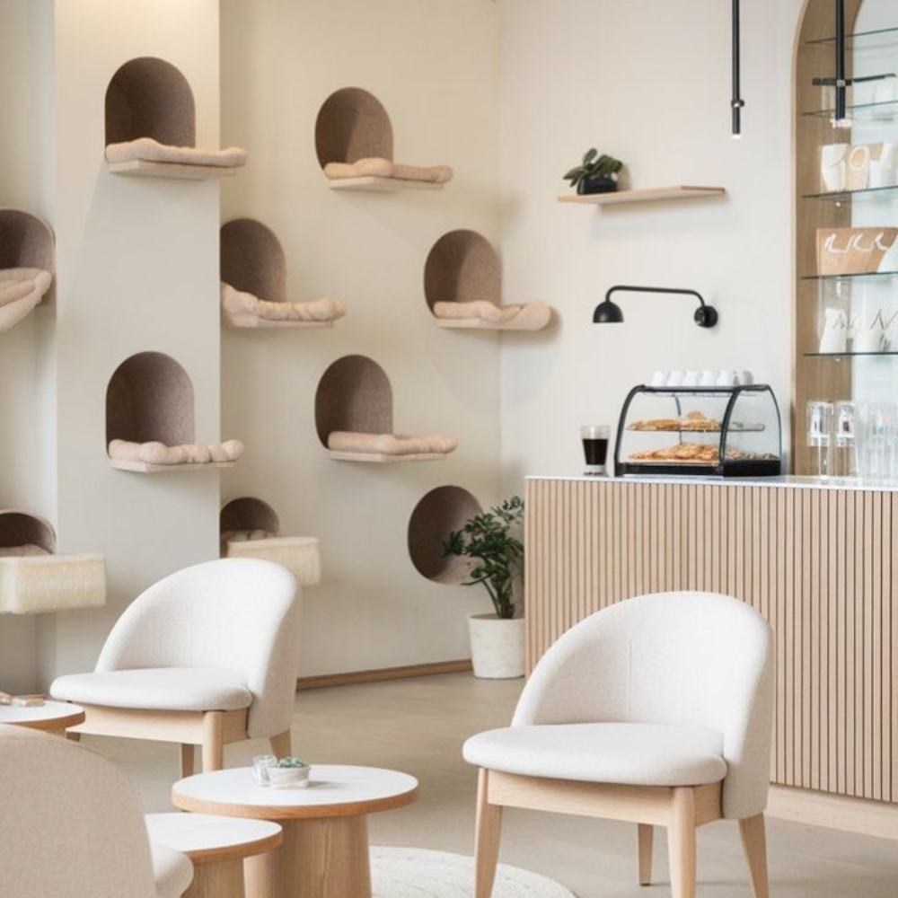 Mẫu quán cafe tối giản kết hợp phong cách Bắc Âu