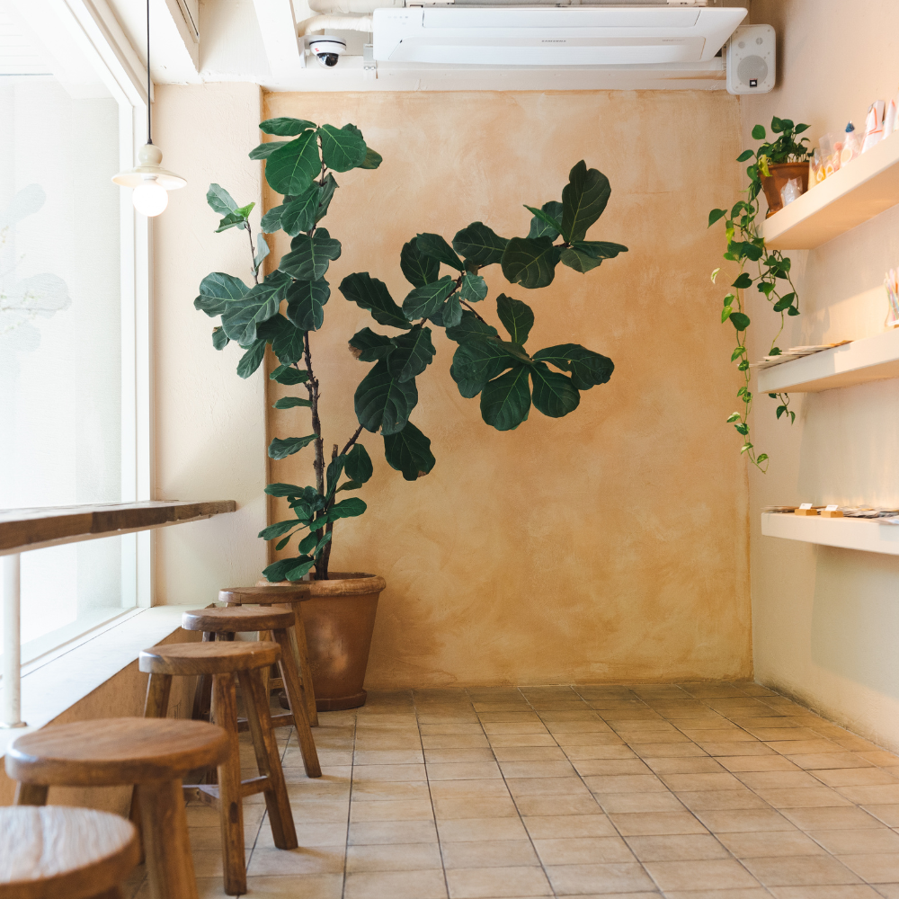 Thiết kế quán cafe ngang 5m phong cách tối giản