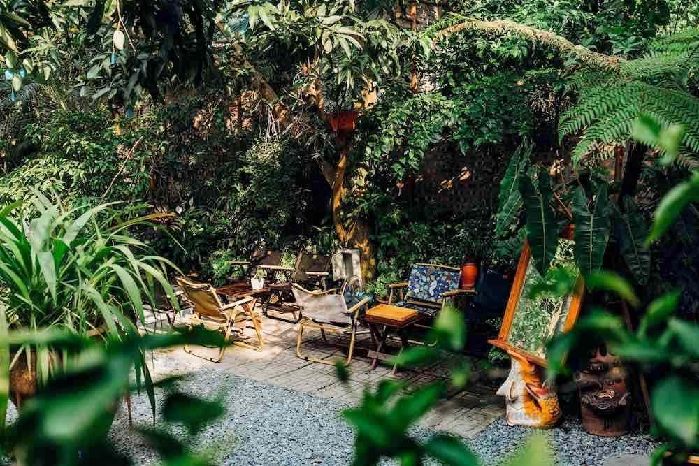 Quán cà phê sân vườn phong cách tropical với dương xỉ xanh rì, dây leo mềm mại ôm lấy từng bức tường, tạo nên không gian mát lành như một khu rừng nhiệt đới thu nhỏ giữa lòng phố
