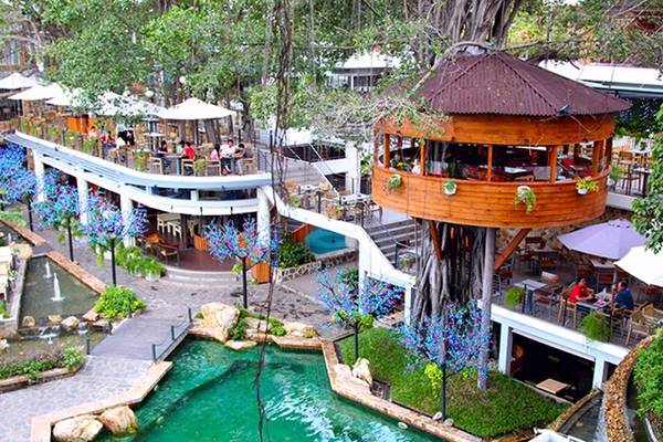 Quán cafe trên cây