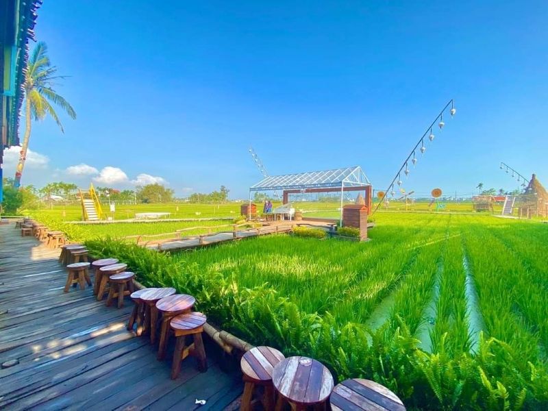 Không gian quán sẽ được phủ xanh từ không gian thiên nhiên, khách hàng sẽ được thưởng thức cafe tại một nơi hơi xa thành thị nhưng đảm bảo thư giãn và trong lành