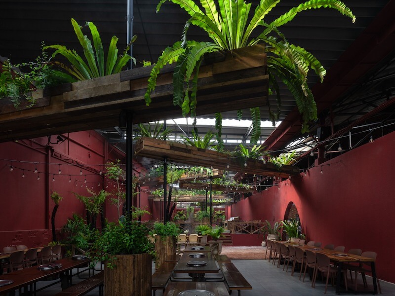 Thiết kế quán cafe phong cách Tropical với không gian mở mang đến cảm giác thư giãn và thoáng đãng