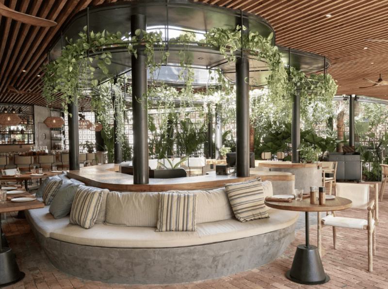 Mô hình cafe sân vườn phong cách Tropical thu hút nhờ không gian mở, tận dụng tối đa ánh sáng tự nhiên, mang đến cảm giác gần gũi, dễ chịu
