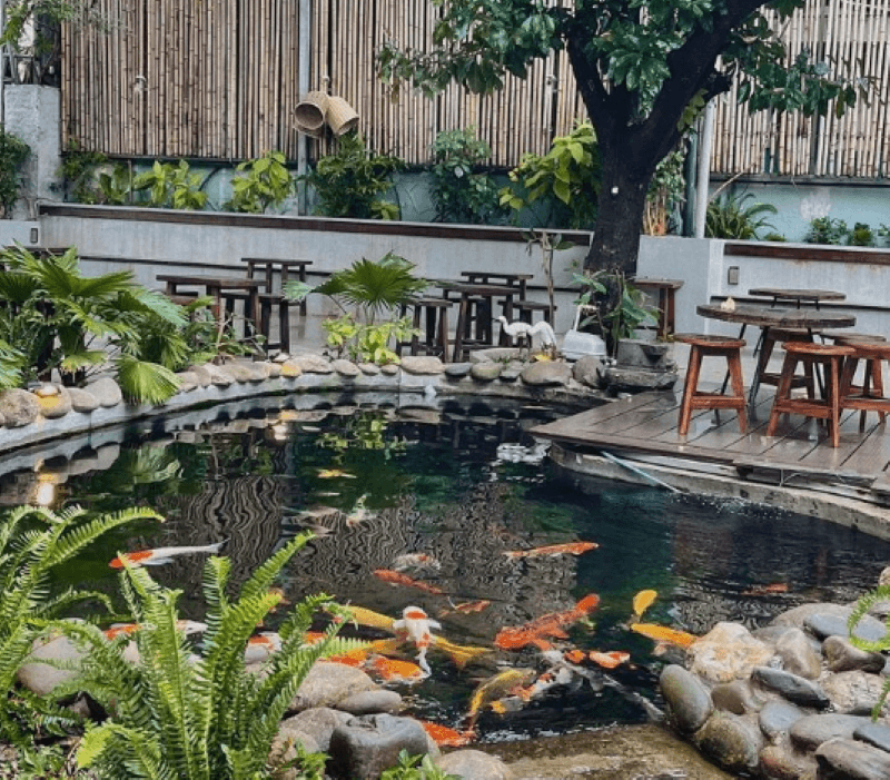 Cafe sân vườn có hồ cá Koi tạo điểm nhấn sinh động, tăng giá trị thẩm mỹ và trải nghiệm thư giãn