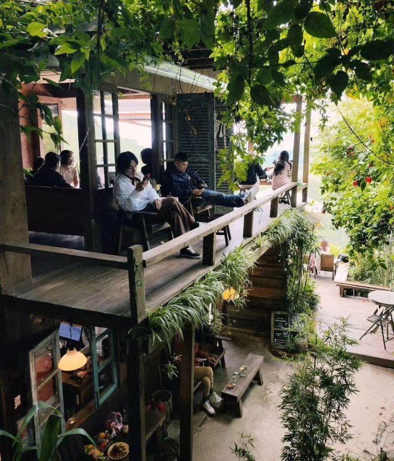 Quán cafe sân vườn kết hợp nhà gỗ mộc trên triền dốc, tạo cảm giác như một ngôi nhà giữa rừng gần gũi, yên tĩnh và có chiều sâu không gian