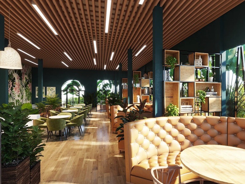 Thiết kế quán cafe phong cách Tropical sử dụng cửa kính lớn và cây xanh để đón ánh sáng mặt trời, tạo không gian gần gũi và tiết kiệm điện năng
