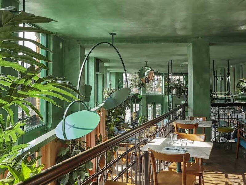 Màu xanh lá cây được xem là “linh hồn” của những quán cafe phong cách Tropical, tạo cảm giác như đang ở trong một khu rừng rậm rạp hoặc một nhà kính