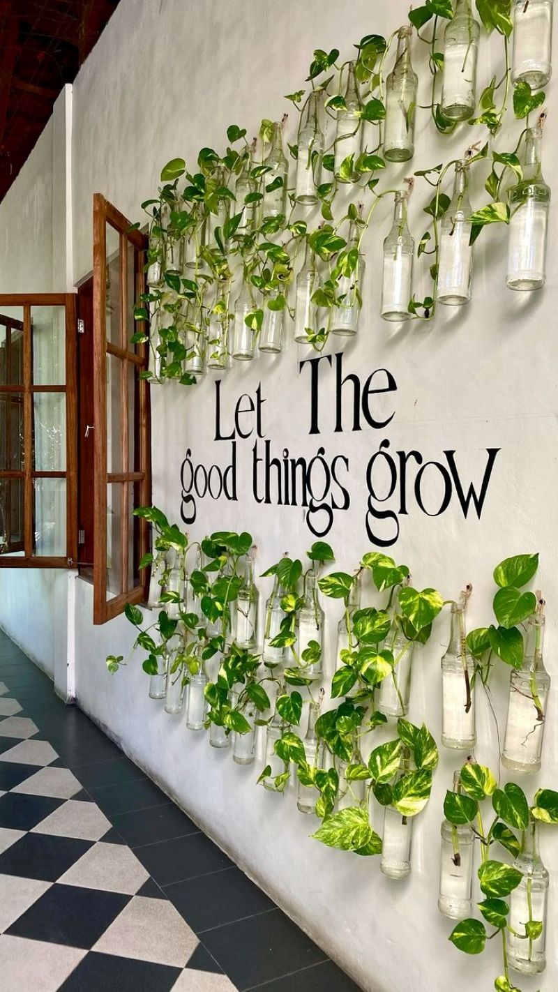 Việc treo cây trên cao giúp tăng chiều sâu cho không gian, khiến quán cafe trở nên rộng rãi và thoáng đãng hơn 