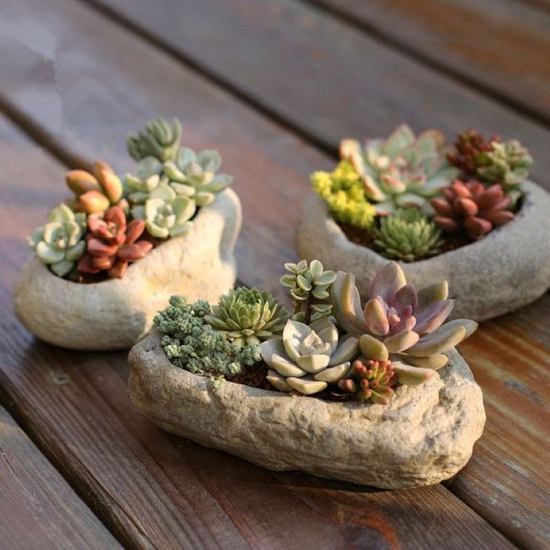 Cây xanh trên bàn giúp thanh lọc không khí nhẹ nhàng, mang lại cảm giác trong lành và dễ chịu cho khách 