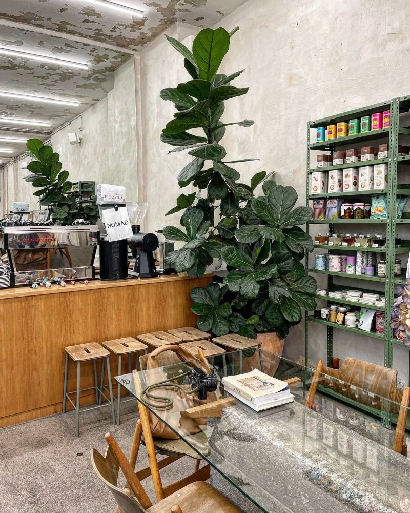 Một chậu cây khổ lớn đặt ở trung tâm quán có thể trở thành điểm nhấn thị giác, giúp không gian bớt đơn điệu và tràn đầy sức sống 