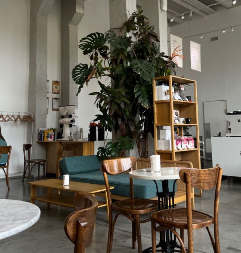 Với khả năng lọc không khí, cây khổ lớn góp phần tạo môi trường trong lành, nâng cao trải nghiệm thư giãn của khách hàng 