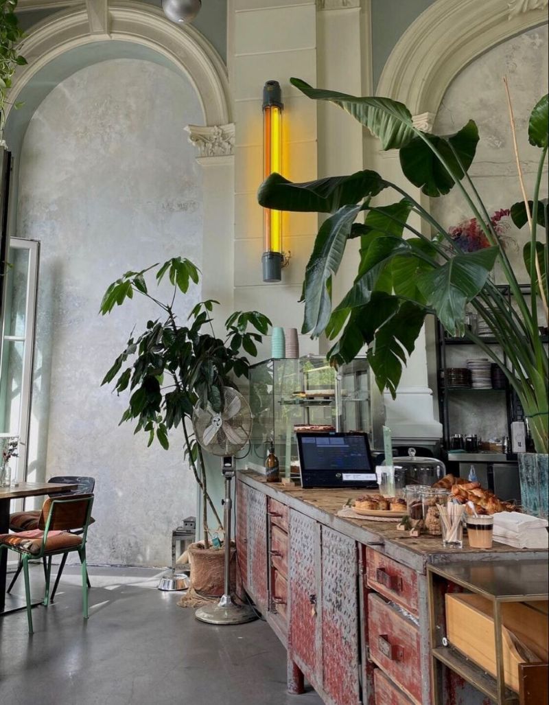 Cây khổ lớn có thể che đi những khuyết điểm kiến trúc như góc tường thô cứng, tạo cảm giác tinh tế và gọn gàng 