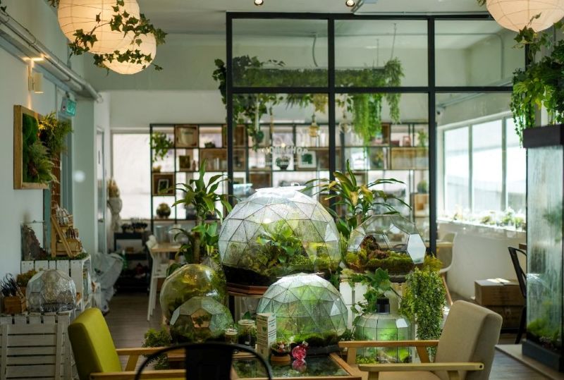 Những lọ Terrarium nhỏ xinh đặt trên bàn hay kệ gỗ mang lại cảm giác tươi mới, giúp không gian quán cafe thêm gần gũi và dễ chịu 