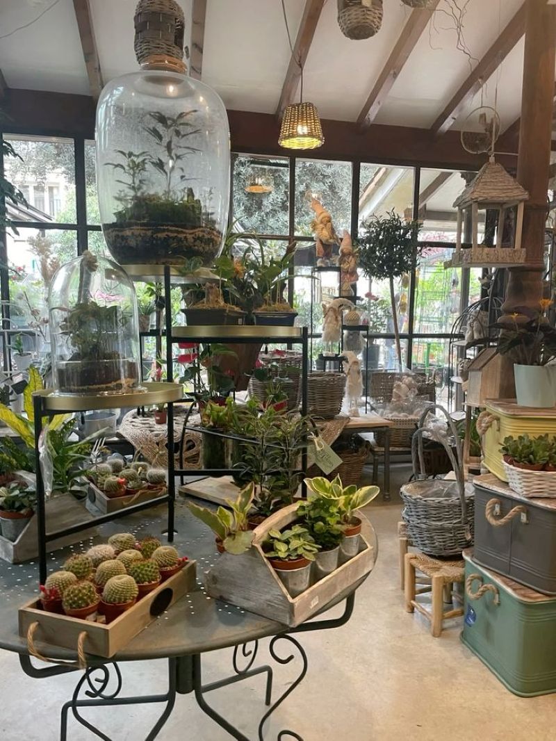 Khi ánh sáng chiếu qua những lọ Terrarium, không gian quán trở nên lung linh và sinh động, tạo hiệu ứng thị giác rất bắt mắt