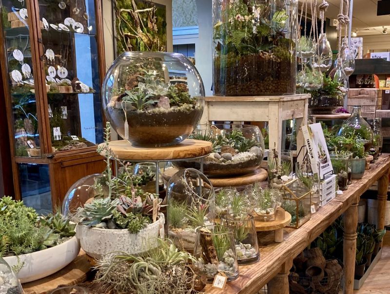 Khi kết hợp Terrarium với ánh sáng vàng ấm, quán cafe sẽ mang lại bầu không khí lãng mạn, ấm áp và dễ chịu cho khách hàng