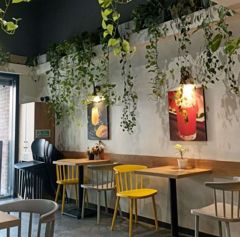 110+ Ý tưởng mẫu decor quán cafe đẹp, dễ làm, ít chi phí
