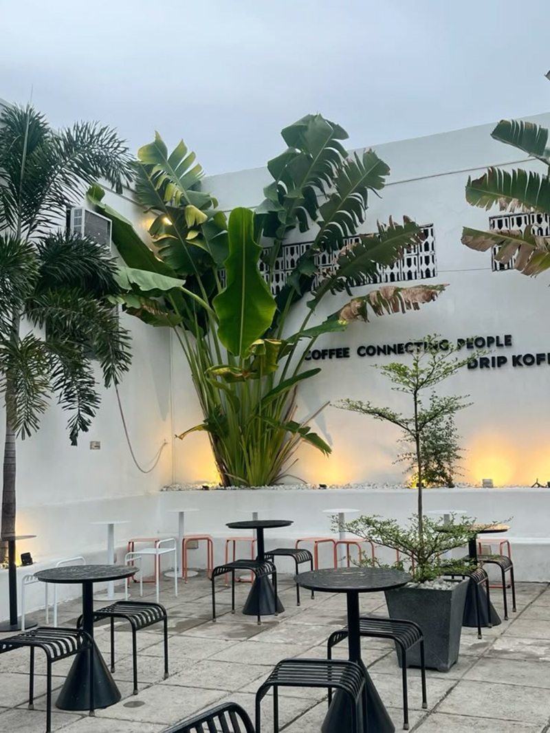 Phong cách Tropical đặc biệt thu hút nhóm khách trẻ yêu thiên nhiên và các gia đình tìm kiếm sự thư giãn cuối tuần