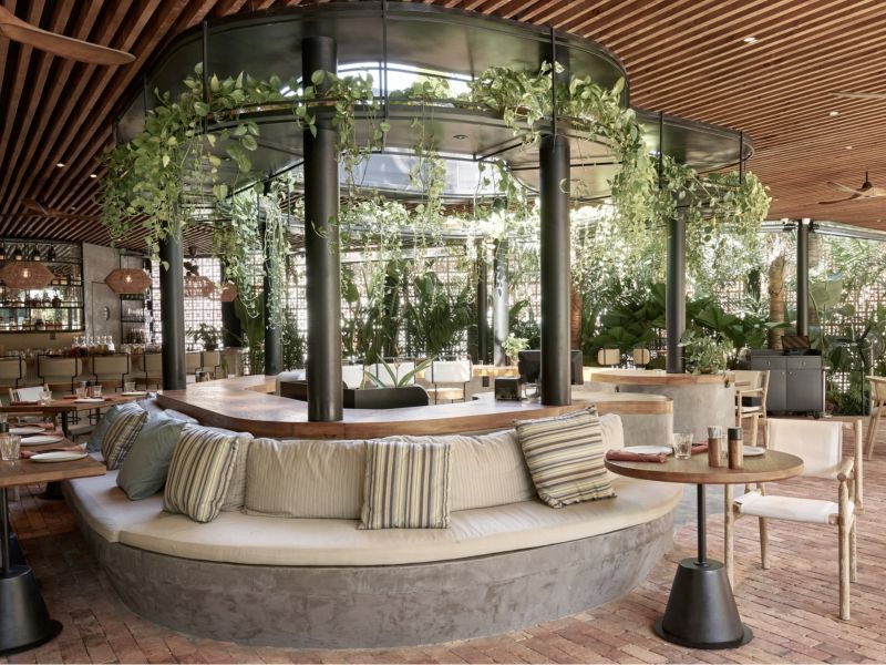 Thiết kế quán cafe phong cách Tropical phù hợp với những ai yêu thích sự năng động, thoáng đãng và phóng khoáng