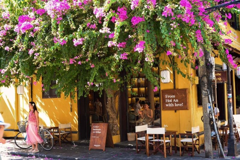 Quán cafe phong cách Hội An với giàn hoa giấy và tone vàng mù tạt chủ đạo tạo nên vẻ đẹp mộc mạc, rực rỡ, đậm chất phố cổ, dễ dàng thu hút khách du lịch 