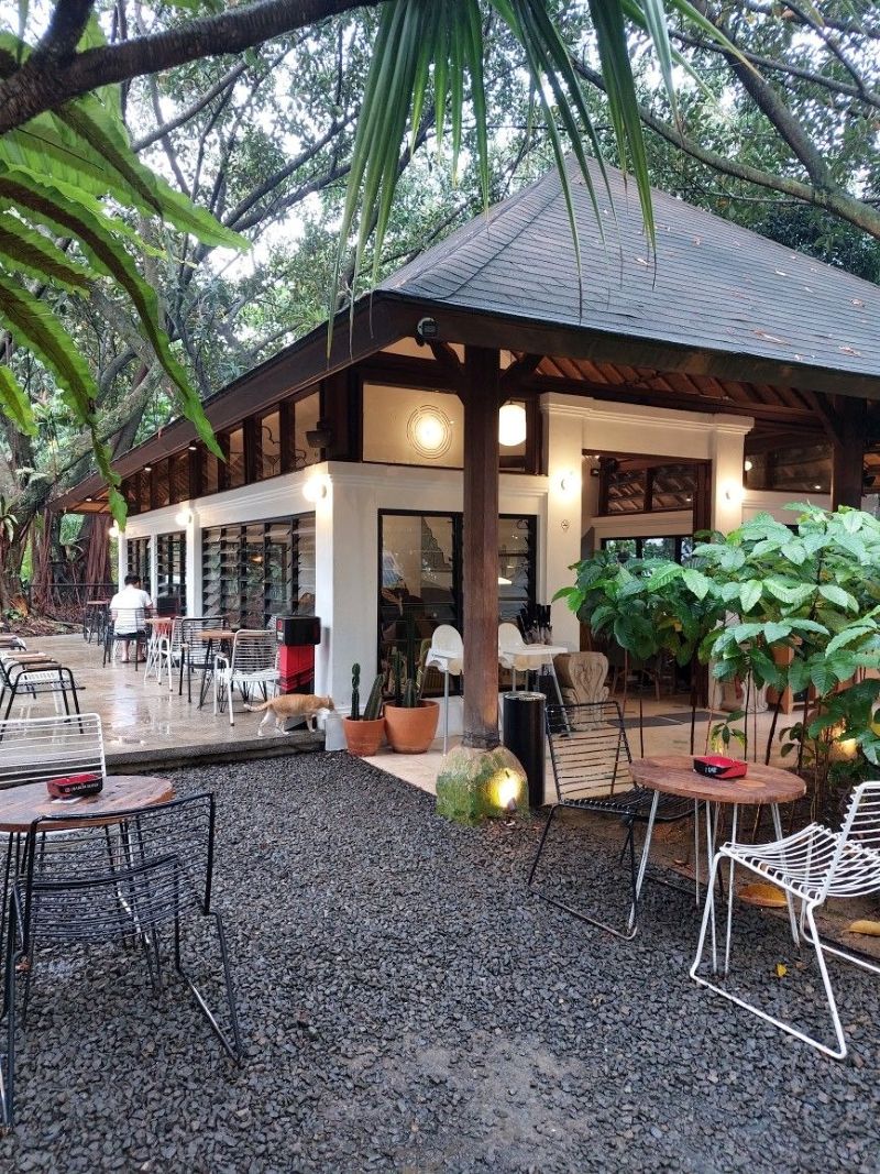 Thiết kế quán cafe ở nông thôn với bàn ghế gỗ thô mộc, kết hợp ánh sáng vàng ấm áp giúp không gian thêm phần gần gũi và ấm cúng
