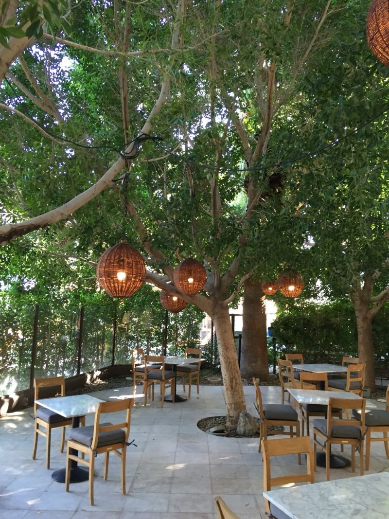 Thiết kế quán cafe ở nông thôn với bàn kê dưới gốc cây cổ thụ vừa che mát vừa tạo dấu ấn đặc trưng cho quán