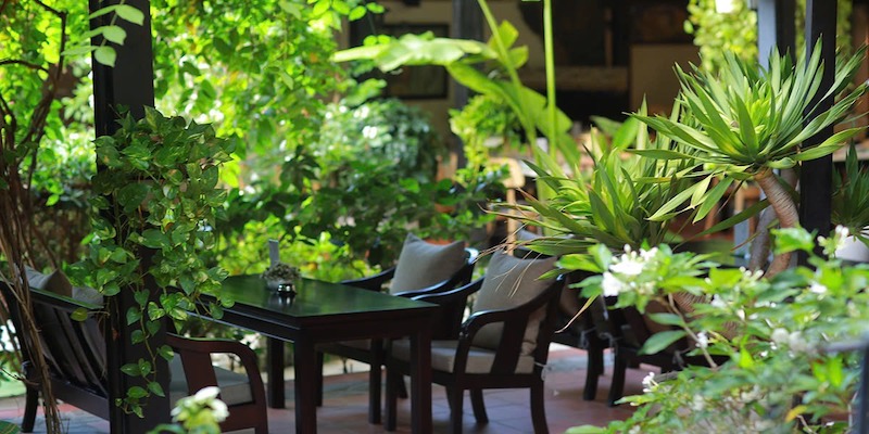 Chủ đầu tư nên chọn cây xanh dễ chăm sóc, tạo bóng mát và không ảnh hưởng tới vận hành giúp giảm chi phí bảo trì lâu dài