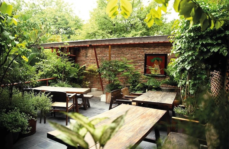 Lựa chọn cây xanh tán rộng, dễ chăm sóc để tạo bóng mát tự nhiên và tăng tính thẩm mỹ cho khu vực ngoài trời