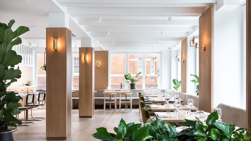 Phong cách Modern Vegan hướng đến không gian sáng, tối giản, trung tính, dễ tiếp cận với giới trẻ và nhóm ăn chay vì sức khỏe