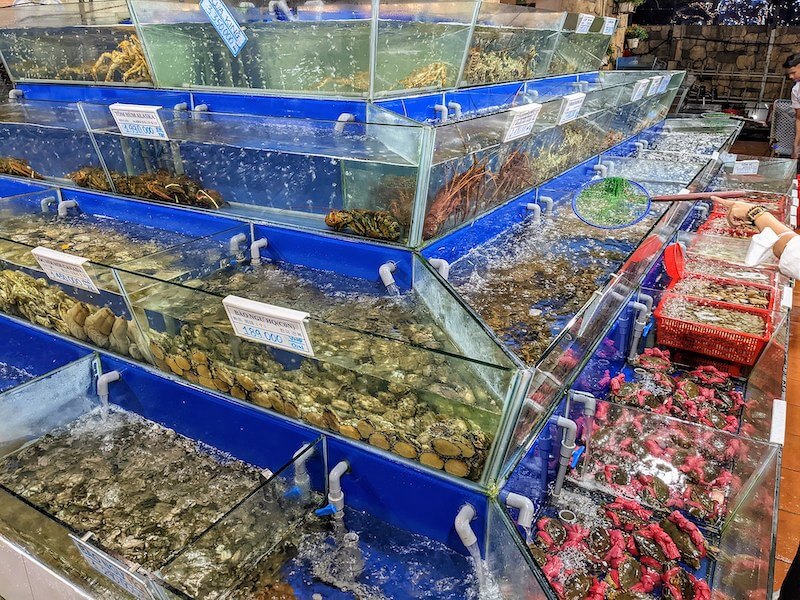 Bể hình tháp hoặc trụ tròn đặt tại trung tâm tạo góc nhìn 360 độ thu hút mọi ánh nhìn