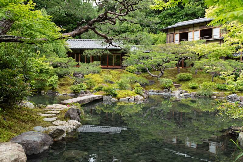 Tùng La Hán tượng trưng cho trường thọ, khí phách và sự bền bỉ, đồng thời tạo điểm nhấn thiền định sang trọng cho biệt thự sân vườn Nhật Bản