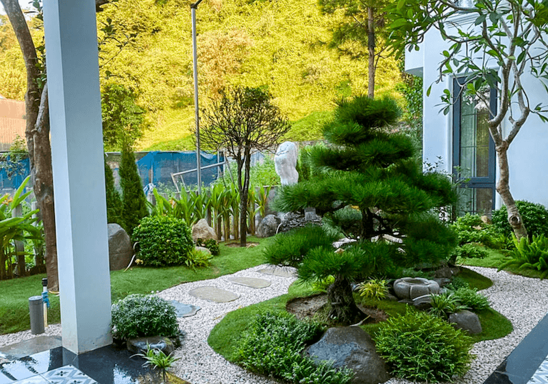 Trung tâm là cây tùng bonsai tán tầng được tạo hình công phu, đặt trên gò đất phủ cỏ xanh mềm, bao quanh bởi đá tảng và sỏi trắng tạo đường viền uốn lượn nhẹ nhàng 