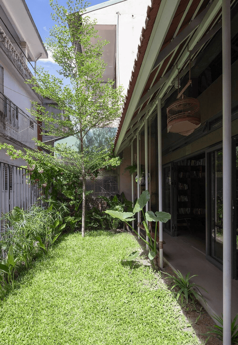 Khu vườn nhỏ xanh mát bên hông nhà tạo không gian yên bình, tràn ánh nắng và gần gũi thiên nhiên giữa phố đông
