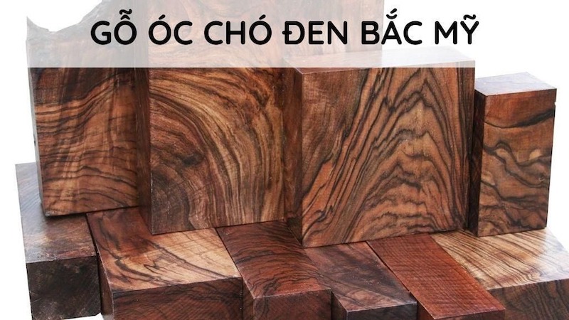Nên chọn gỗ óc chó có nguồn gốc rõ ràng để đảm bảo đúng chủng loại, đạt chuẩn FAS, ổn định độ ẩm, hạn chế cong vênh, minh bạch chất lượng và giữ trọn giá trị thẩm mỹ lâu dài