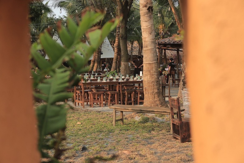 Bàn gỗ xếp dài dưới hàng dừa, đèn dây treo cao tạo ánh sáng ấm, bố cục mở giúp khu ăn uống thoáng đãng, gần gũi và dễ tụ họp đông người