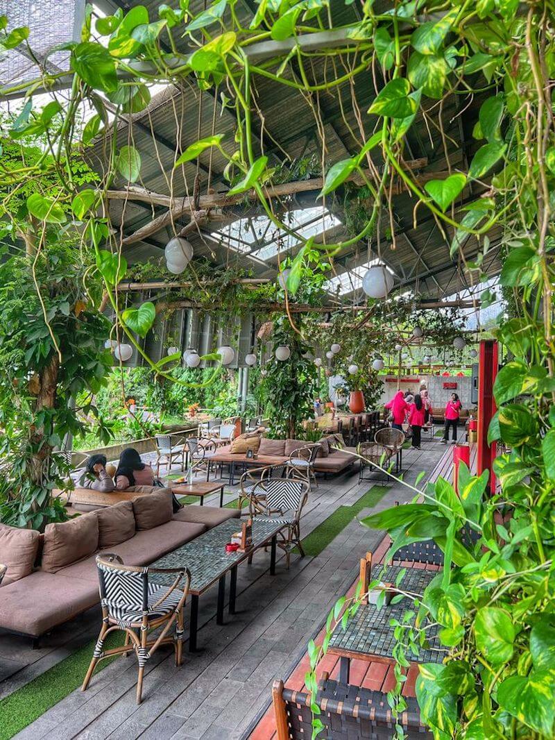 Quán cafe Greenhouse Tropical sử dụng khung thép kết hợp kính cường lực tạo không gian mở tràn ngập ánh sáng và kết nối trực tiếp với thiên nhiên
