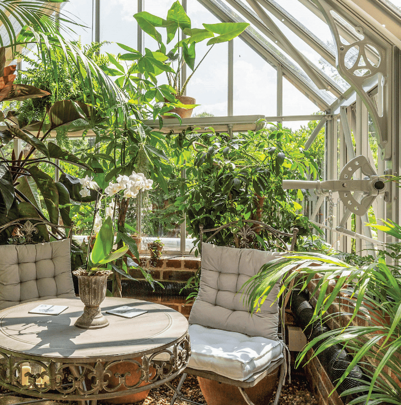 Không gian greenhouse tạo hiệu ứng như một khu vườn châu Âu thu nhỏ kết hợp tropical mang lại trải nghiệm mới lạ cho khách