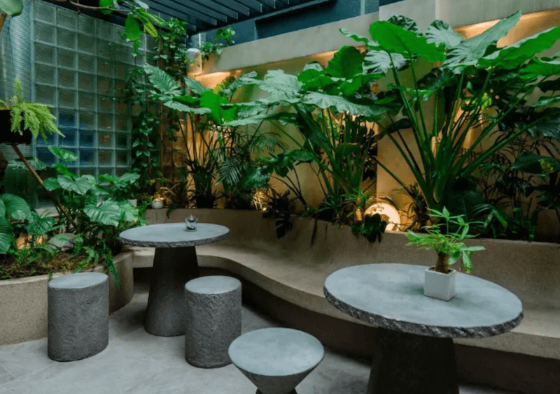 Cây Monstera lá lớn được bố trí chiến lược tạo điểm nhấn thị giác mạnh và mang đậm tinh thần tropical hiện đại