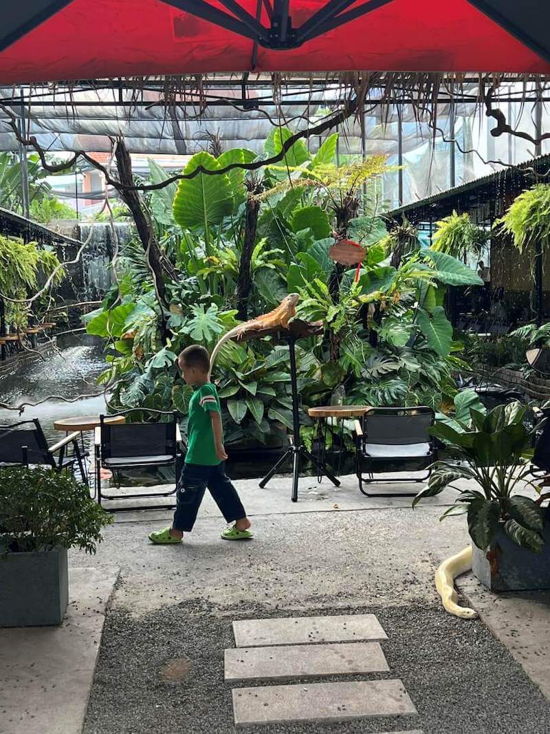 Nên dùng hệ thống tưới tự động chọn cây dễ sống và kết hợp một phần cây giả cao cấp để đảm bảo không gian luôn xanh ổn định lâu dài